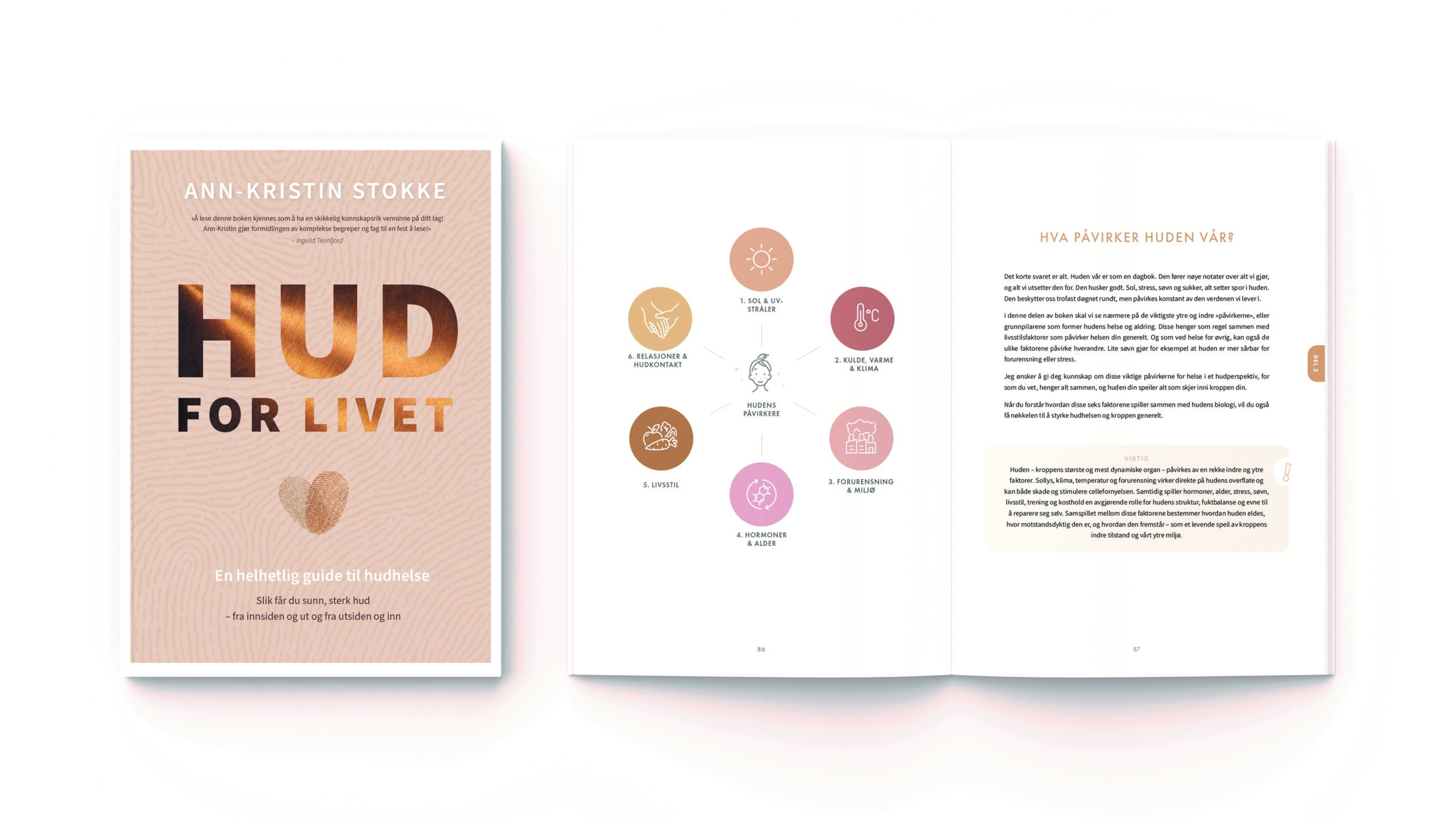 Hud for livet - en helhetlig guide til hudhelse : slik får du sunn, sterk hud - fra innsiden og ut, og utsiden og inn - Bilde 2
